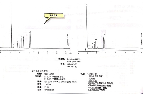 儿茶素色谱柱.jpg