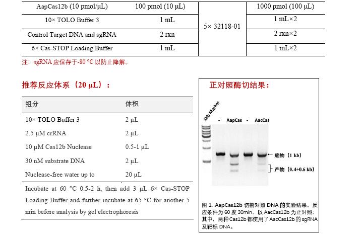 cas12b.jpg