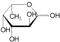 L-fucose