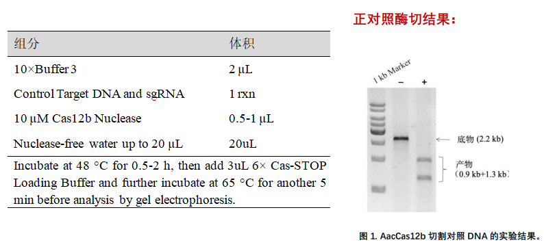 cas12b.png