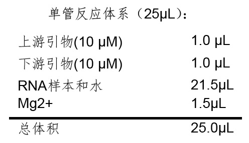 反应体系图.jpg