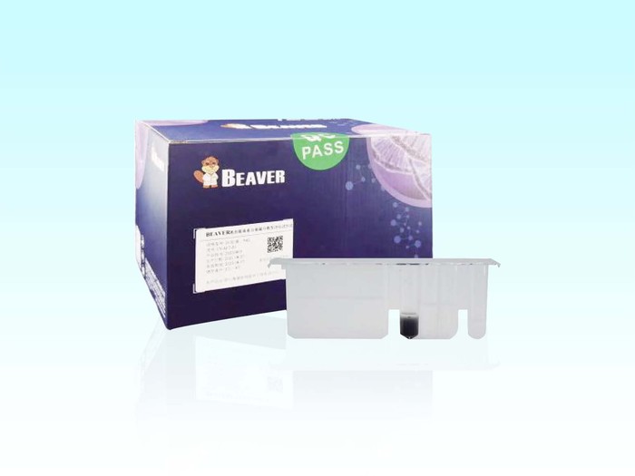 beaver1700207958.9257402.jpg
