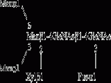 Oligomannose-3 xylose, 1-3 fucose (Man-3-Xyl,Fuc)