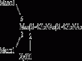 Oligomannose-3 xylose 