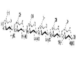 HA11326 壳六糖(盐酸盐)Chitohexaose/Chitosan Hexamer