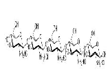 HA11325 壳五糖（盐酸盐）,Chitopentaose or  Chitosan Pentamer